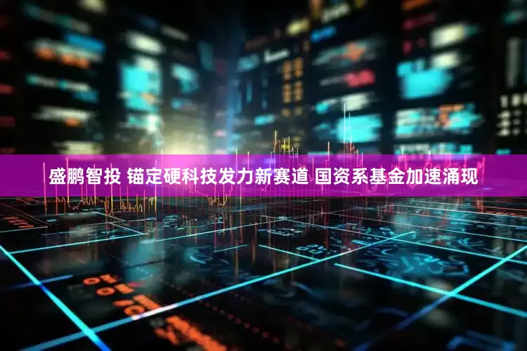 盛鹏智投 锚定硬科技发力新赛道 国资系基金加速涌现