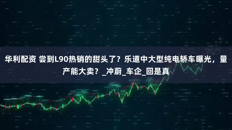 华利配资 尝到L90热销的甜头了？乐道中大型纯电轿车曝光，量产能大卖？_冲蔚_车企_回是真