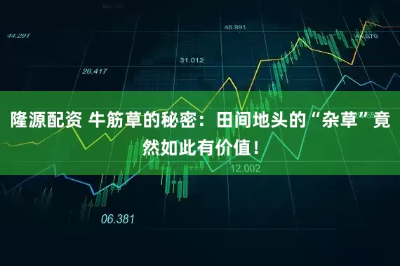 隆源配资 牛筋草的秘密：田间地头的“杂草”竟然如此有价值！