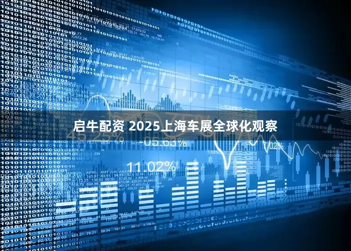 启牛配资 2025上海车展全球化观察