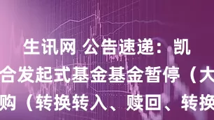 生讯网 公告速递：凯石元鑫混合发起式基金基金暂停（大额）申购（转换转入、赎回、转换转出、定期定额投资）